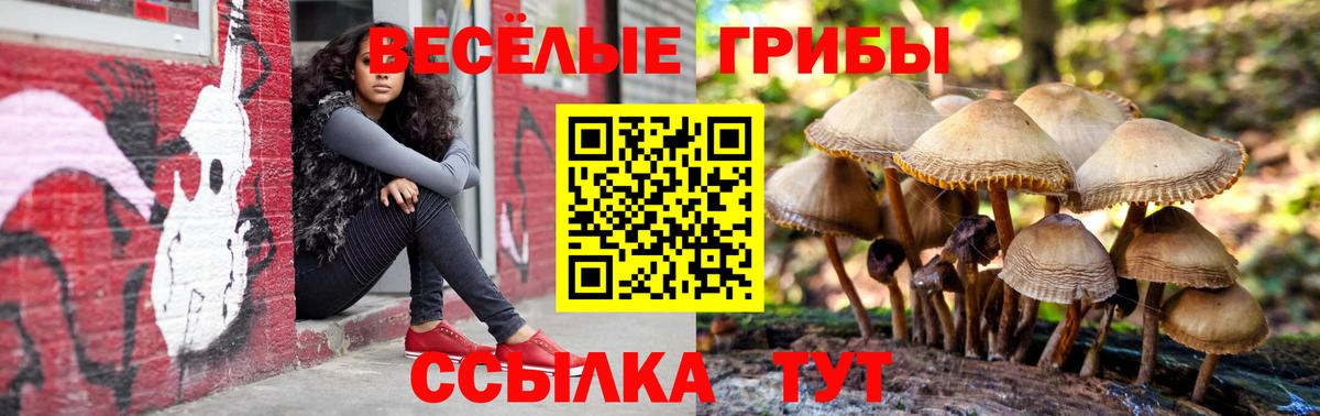 Псилоцибиновые грибы мицелий  Вход с VPN  закладка  Псилоцибиновые грибы прущие грибы  Воркута 